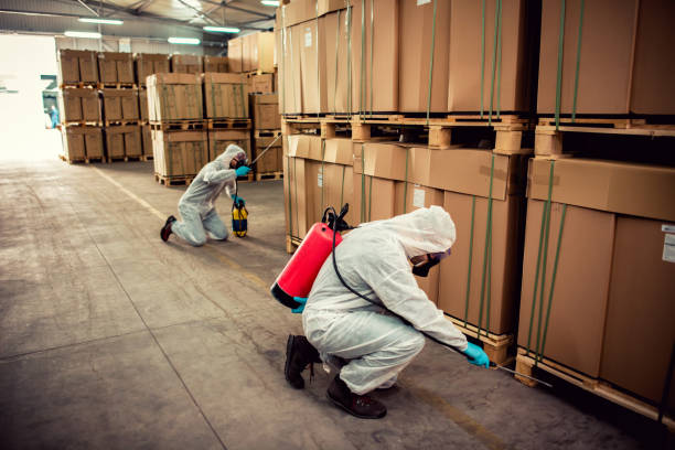 Best Mosquito Control Services  in Altamont, TN