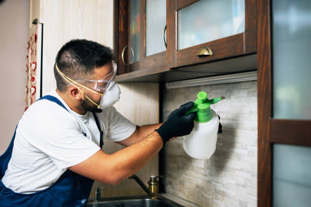 Best Affordable Pest Control Services  in Altamont, TN