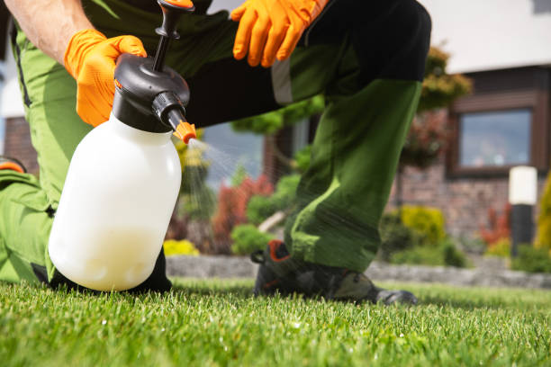 Best Residential Pest Control  in Altamont, TN