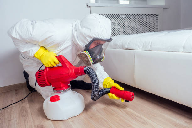 Best Insect Control  in Altamont, TN