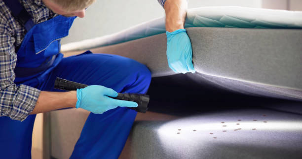 Best Commercial Pest Control Services  in Altamont, TN
