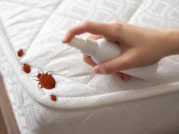 Best Pest Inspection Near Me  in Altamont, TN